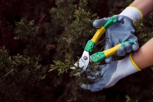 imagen de un jardinero con guantes puestos de epi categoria 1