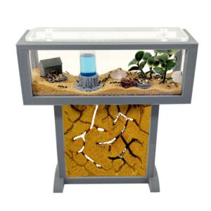 Hormigueros Anthillshop de arena